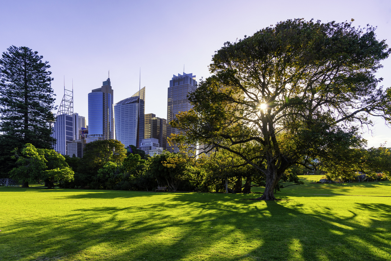 Skyline of Sydney with city central business district